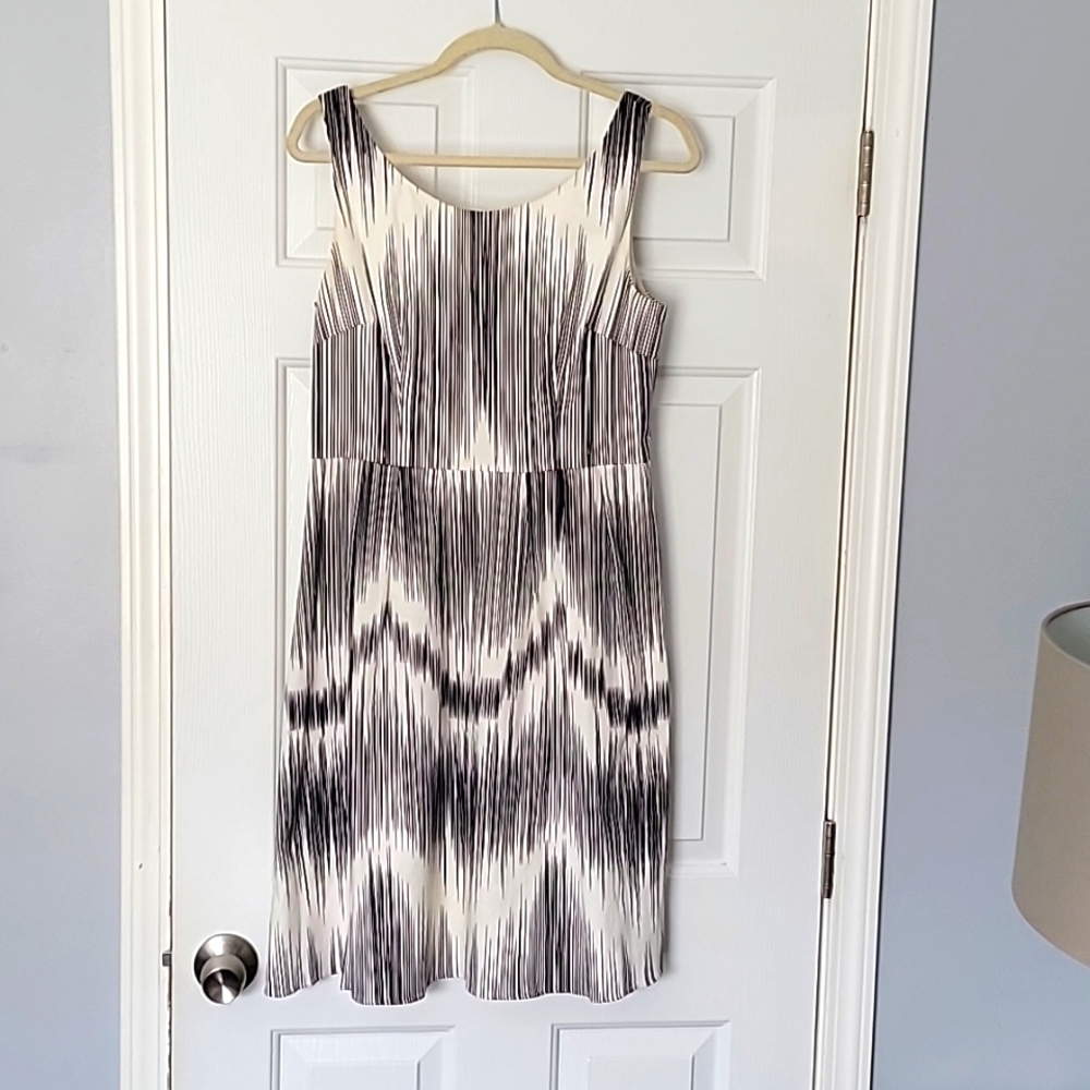 Adrianna Papell black and white a-line dress.